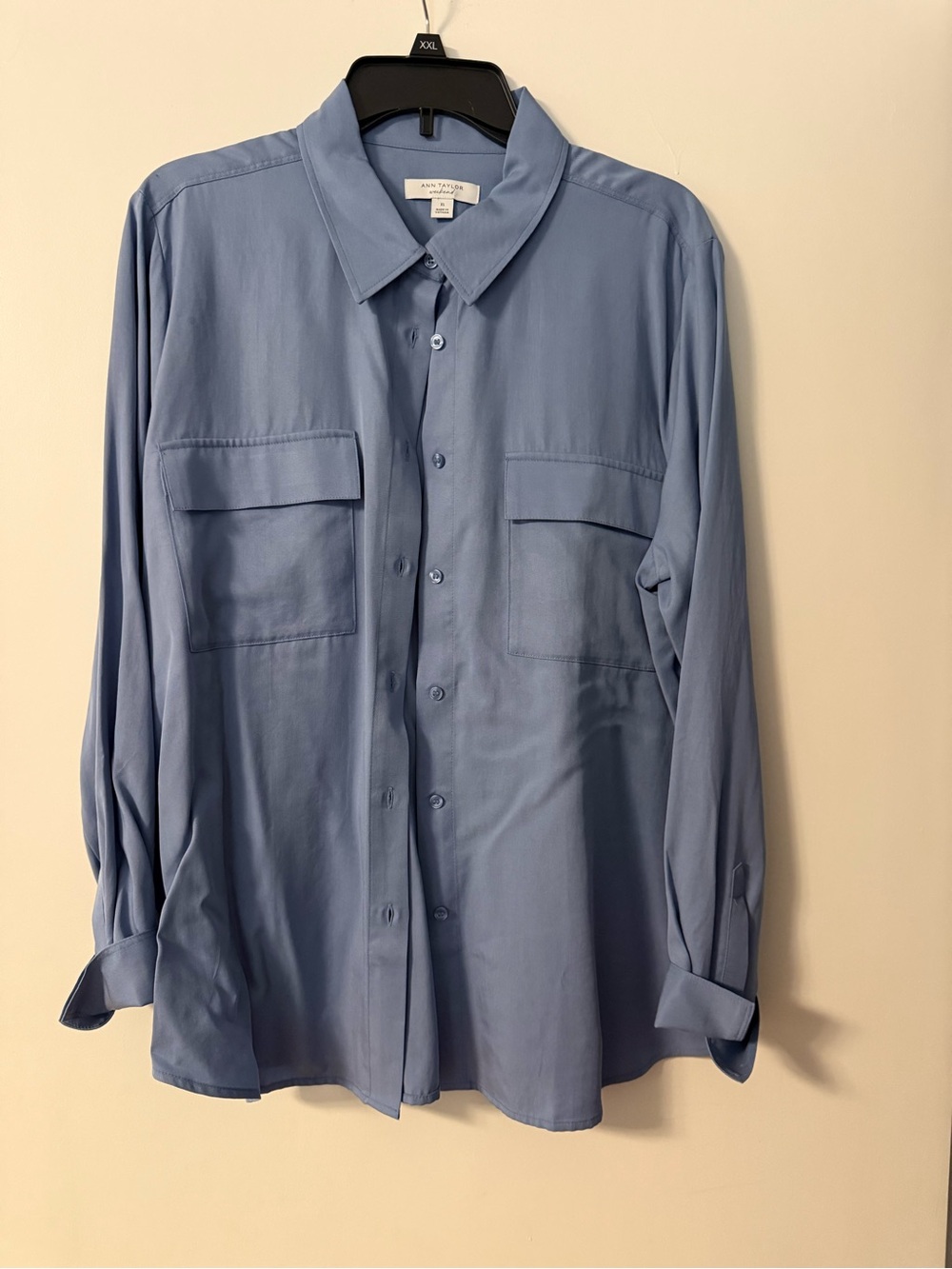 Ann Taylor weekend collection Light Blue Casual Button-Down Shirt